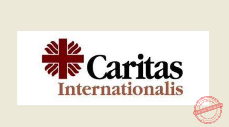 Read more about the article كاريتاس: نسعى إلى توسيع مساعداتنا لسوريا