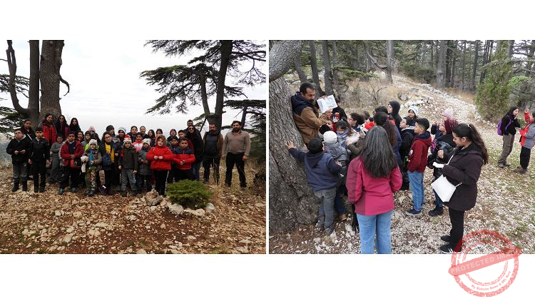 Read more about the article نشاط توعوي على أهمية الحيوانات البرية والطيور