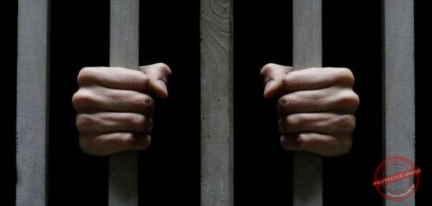 Read more about the article منظمة لا ظلم… الى العمل در