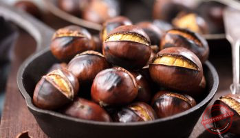 Read more about the article فوائد الكستناء للجسم