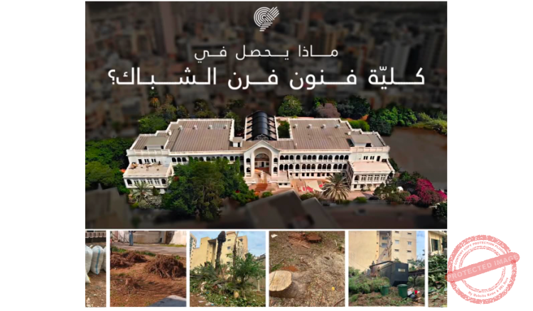 Read more about the article قطع اشجار بشكل عشوائي في كلية الفنون – فرن الشباك