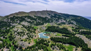 Read more about the article محمية أرز الشوف مصممة على حماية البيئة