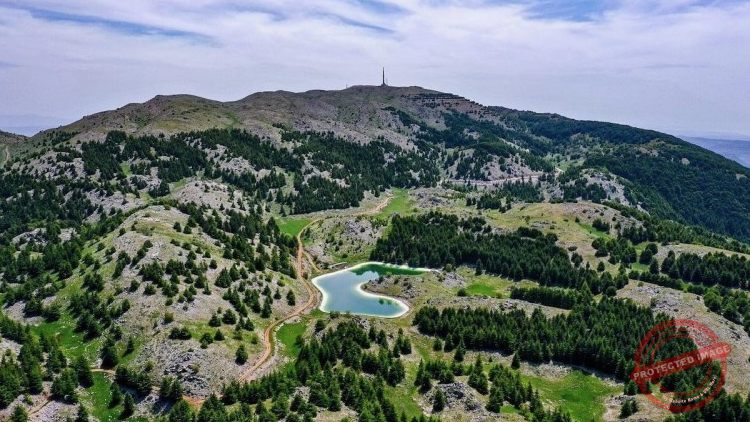 Read more about the article محمية أرز الشوف مصممة على حماية البيئة