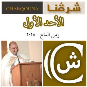 Read more about the article الأحد الأوّل بعد عيد الدنح
