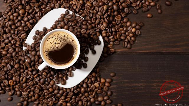 Read more about the article القهوة السوداء تتحكم بالوزن