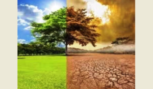 Read more about the article لخطة استراتيجية تخفف من آثار الاحتباس الحراري والتلوث