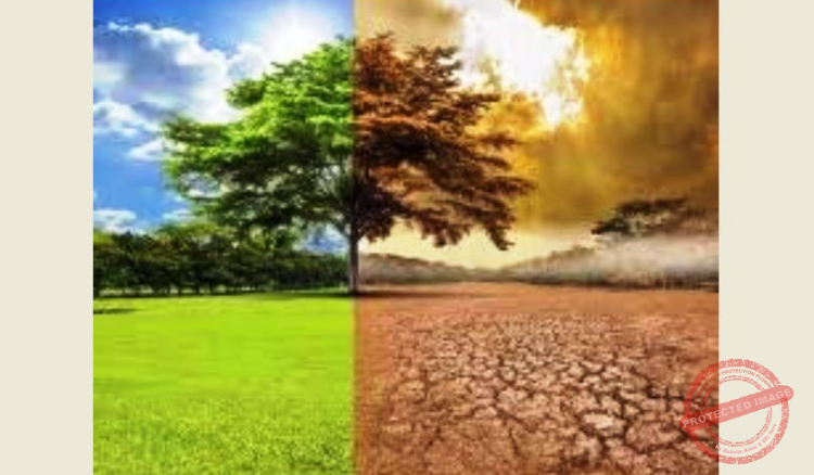 Read more about the article لخطة استراتيجية تخفف من آثار الاحتباس الحراري والتلوث