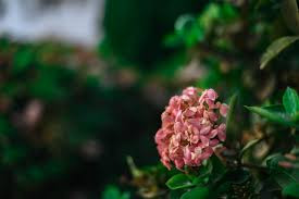 Read more about the article الحياة ميزان دقيق