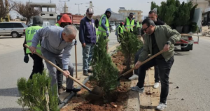 Read more about the article غرس 220 شجرة “تويا” لتجميل مدخل بعلبك الجنوبي