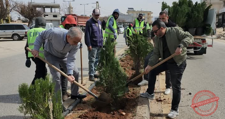 Read more about the article غرس 220 شجرة “تويا” لتجميل مدخل بعلبك الجنوبي