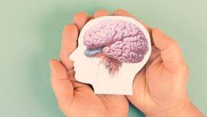 Read more about the article أغذية لشيخوخة الدماغ