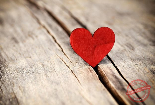 Read more about the article الحبُّ هبةٌ ربانيةٌ