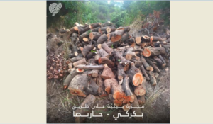 Read more about the article جمعيّة “الأرض”: مجزرة بيئيّة بين بكركي ودرعون
