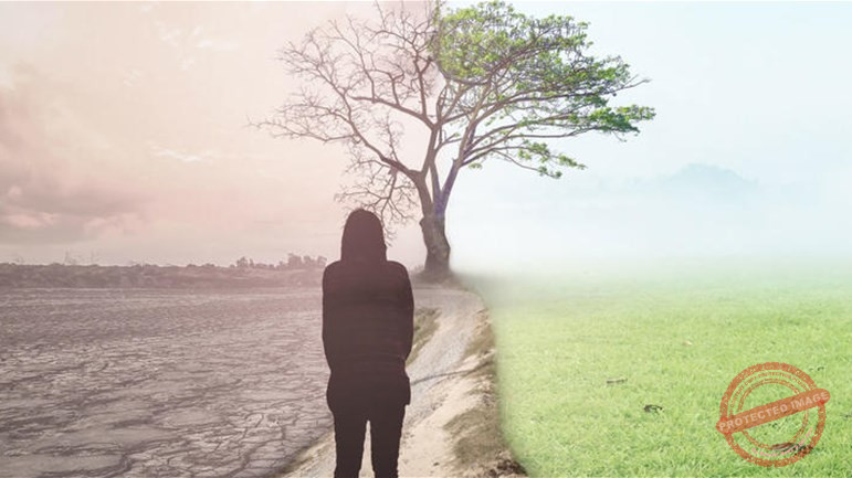 Read more about the article من قواعد الحياة
