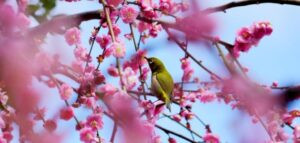 Read more about the article ليتنا لم نكبر