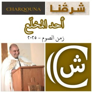 Read more about the article أحد شفاء المخلّع