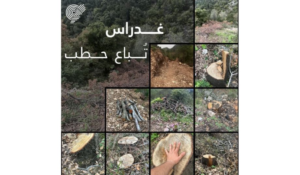 Read more about the article جمعية الأرض: كارثة بيئية جديدة في بلدة غدراس