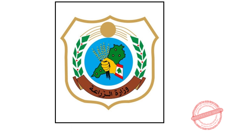 Read more about the article الزراعة: تحرك فوري بعد شكوى عن قطع أشجار حرجية في شبطين