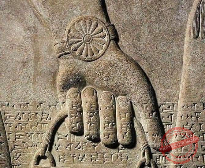 Read more about the article زهرة بالبابونج