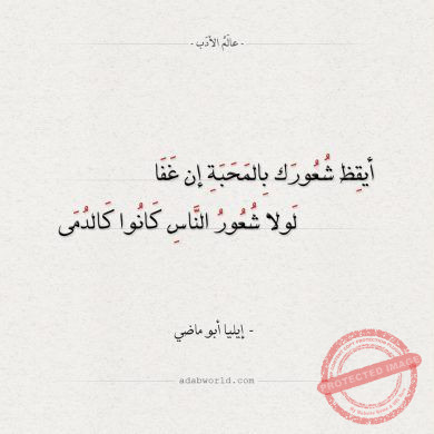 Read more about the article أيقظ شُعورك بالمحبّة إنْ غفا