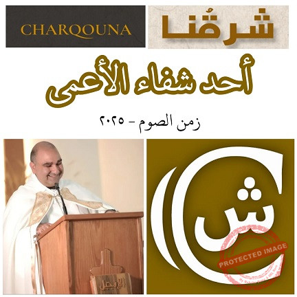 Read more about the article أحد شفاء الأعمى