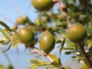 Read more about the article ماذا قال دوستويفسكي