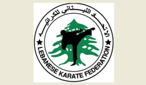 Read more about the article دورة تدريبية دولية في الكاراتيه