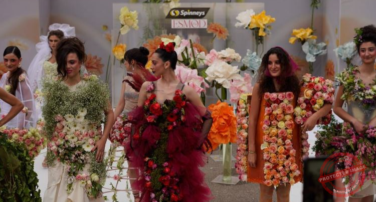 Read more about the article مهرجان الزهور