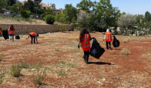 Read more about the article حملة نظافة في محيط قلعة بعلبك