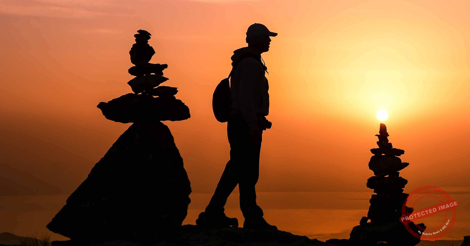 Read more about the article لغز الحياة
