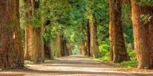 Read more about the article نسيم أم عاصفة؟