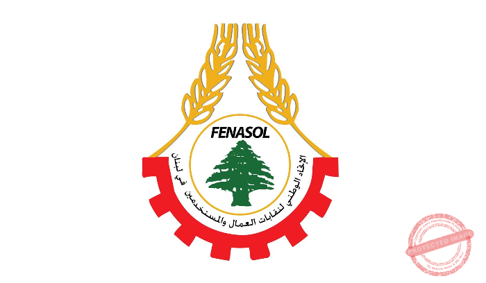 Read more about the article FENASOL دان الاعتداء على سفينة “حنظلة”
