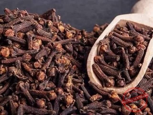 You are currently viewing القرنفل وفوائده الصحية: بين الطب الشعبي والعلم الحديث