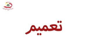 Read more about the article بلدية برج البراجنة تدعو لتقديم الطلبات خطيًا