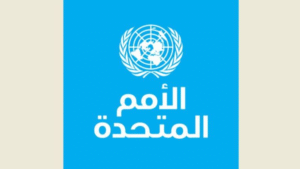 Read more about the article الأمم المتحدة: الكارثة في غزة تذكر بالمجاعة في إثيوبيا وبيافرا