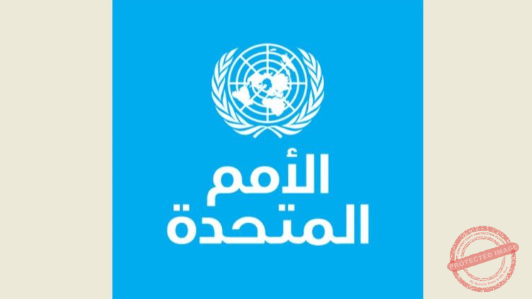 Read more about the article الأمم المتحدة: الكارثة في غزة تذكر بالمجاعة في إثيوبيا وبيافرا
