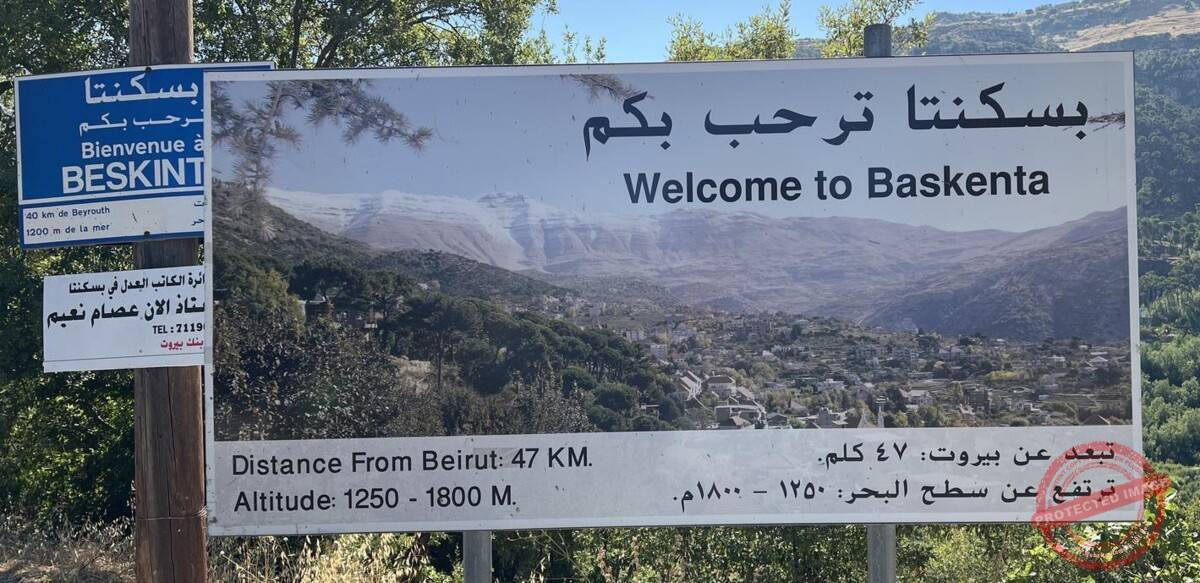 Read more about the article بلدية بسكنتا تُنجز مشروع طاقة شمسية في صنين