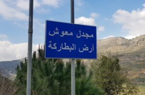 Read more about the article مجدل المعوش… همسةُ ضوء في حضن الجبل