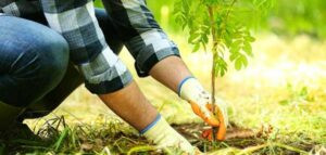 Read more about the article ندوة إرشادية بعنوان: “ترشيد استخدام المبيدات” في بسكنتا