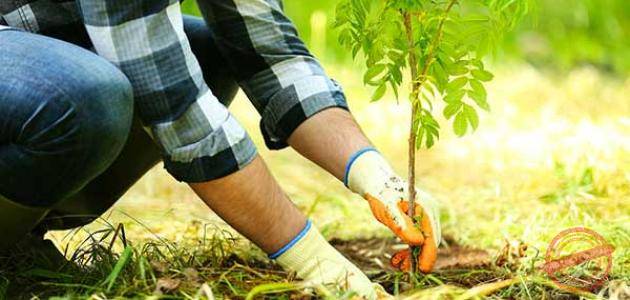 Read more about the article ندوة إرشادية بعنوان: “ترشيد استخدام المبيدات” في بسكنتا