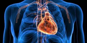 Read more about the article دراسة تحذر من أطعمة تزيد خطر الإصابة بأمراض القلب