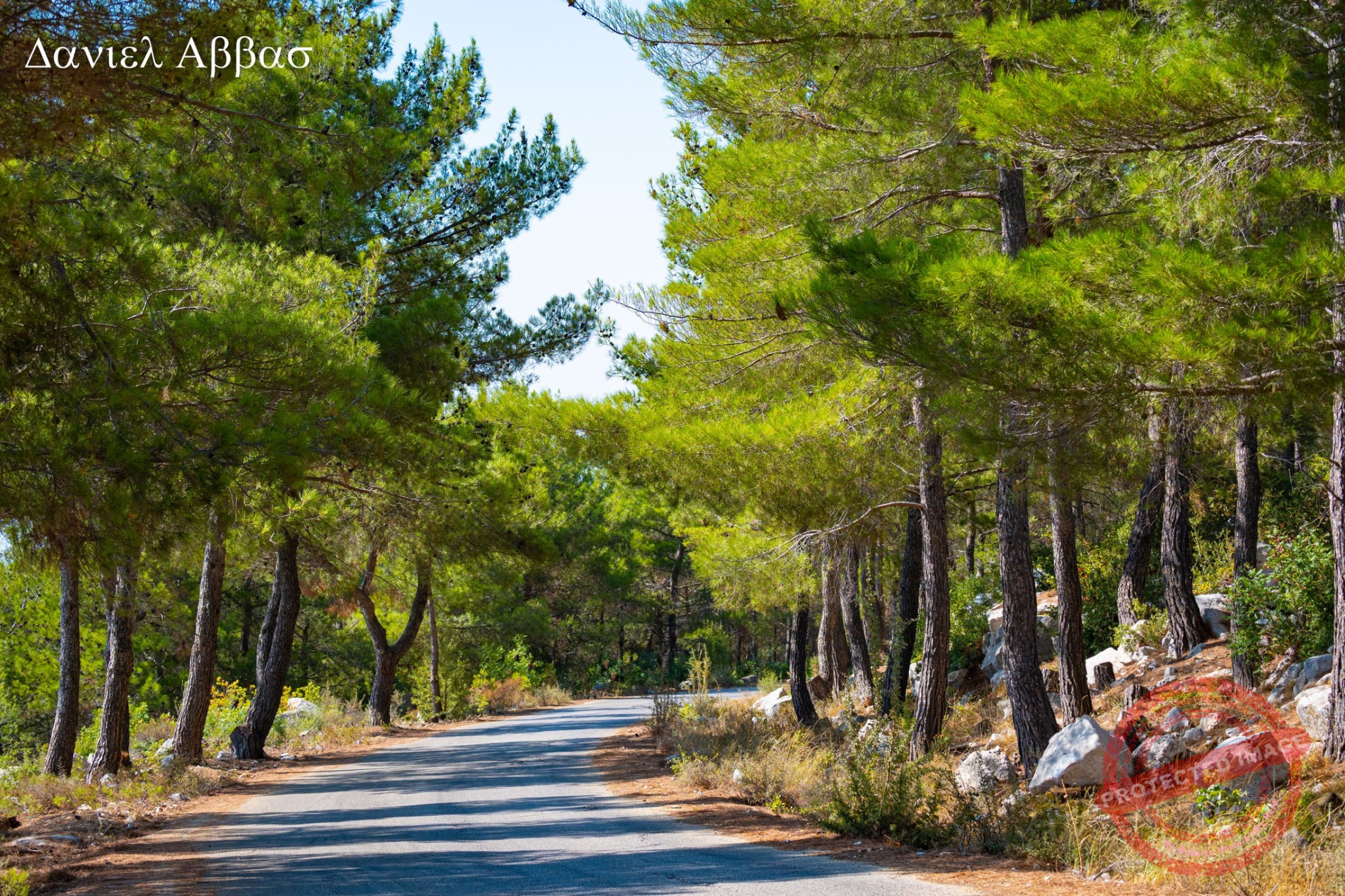 Read more about the article ريف جبلة… سحر الطبيعة وجمال لا يُضاهى