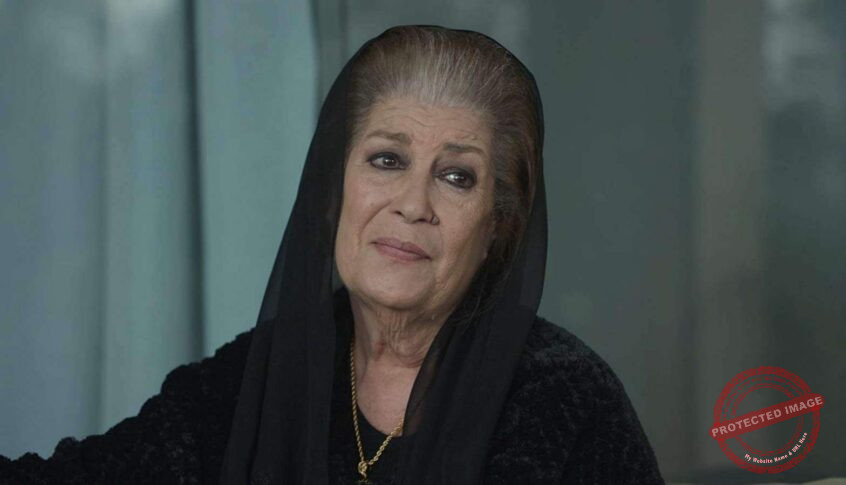You are currently viewing منى واصف تنال لقب “سفيرة السلام في العالم”