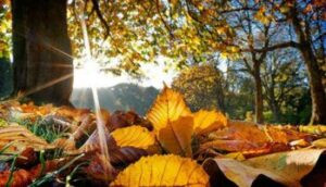 Read more about the article الطقس المتوقع في لبنان