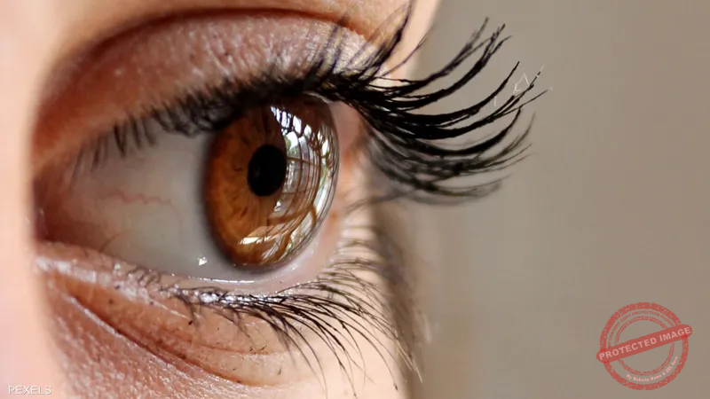 You are currently viewing شبكية العين تكشف أسرار الشيخوخة وصحة القلب