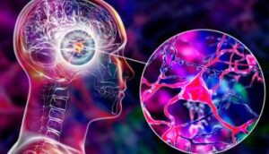 Read more about the article اكتشاف يغيّر فهمنا لطريقة تخزين المعلومات في الجسم