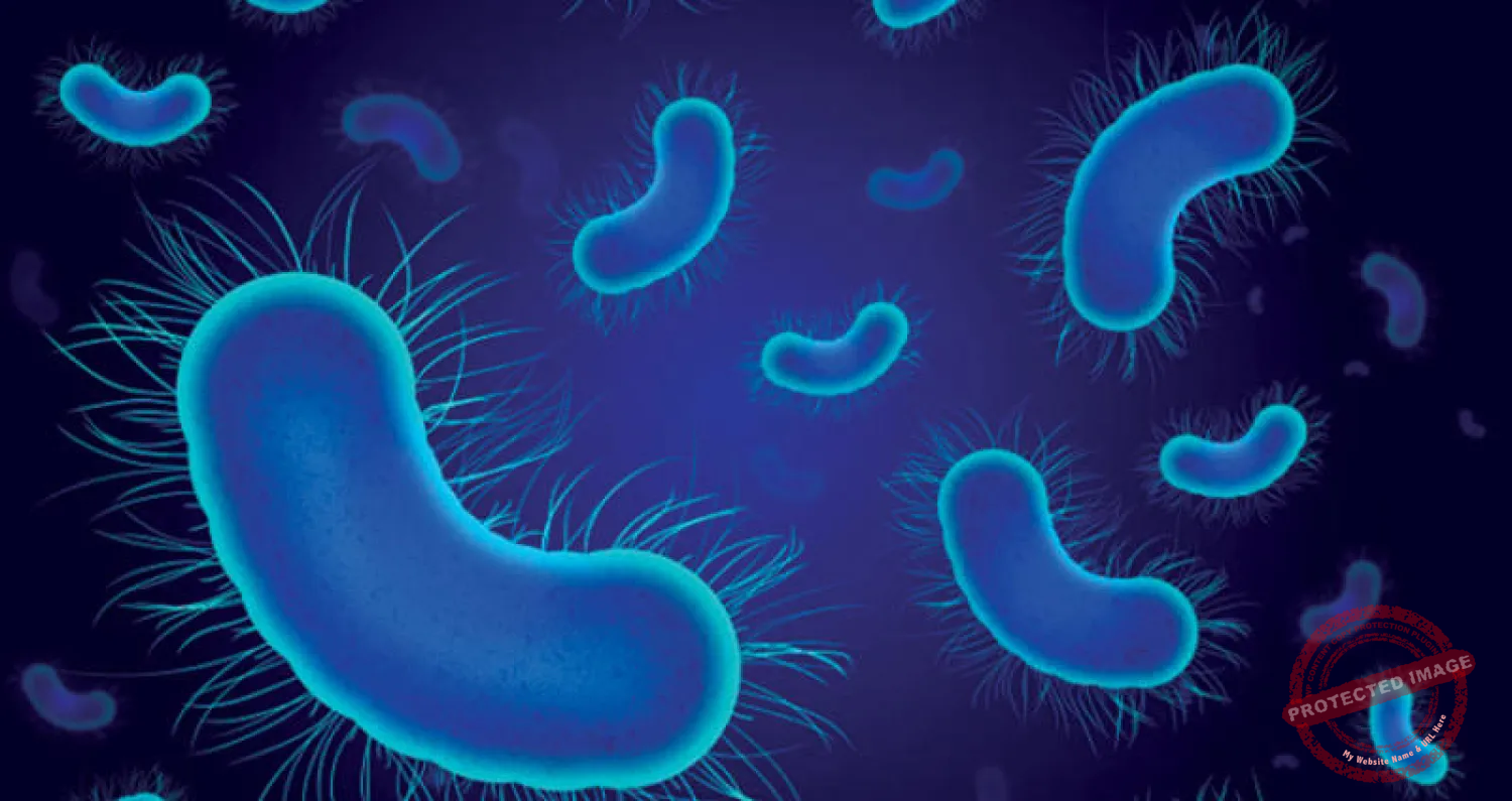 Read more about the article البكتيريا المقاومة للمضادات الحيوية تهدد صحة الملايين