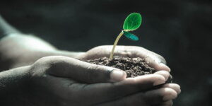 Read more about the article لا شيء يحدث صدفة