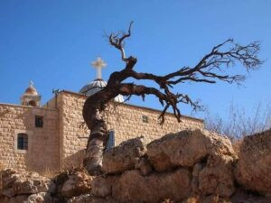 Read more about the article دير مار سركيس وباخوس في معلولا… صرحٌ روحي يختزل التاريخ والإيمان