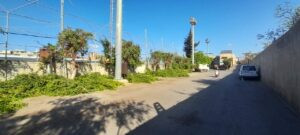 Read more about the article بلدية برج البراجنة تشحيل الأشجار ضمن جهودها للحفاظ على جمال الشوارع